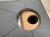 IMG_9566.jpeg